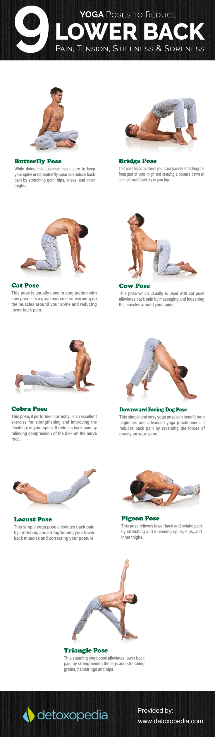 stretches for back infographic