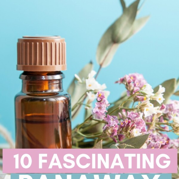 10 fascinating panaway uses