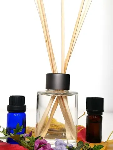 essential oils for diffusing cushy spa