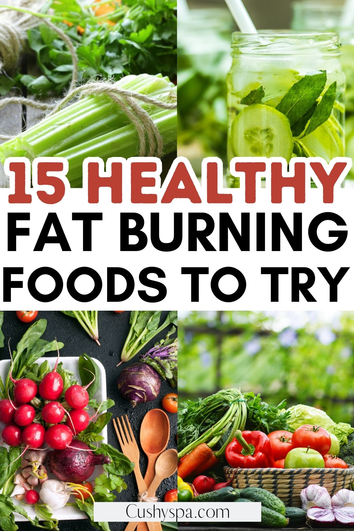 Fat Burning Foods