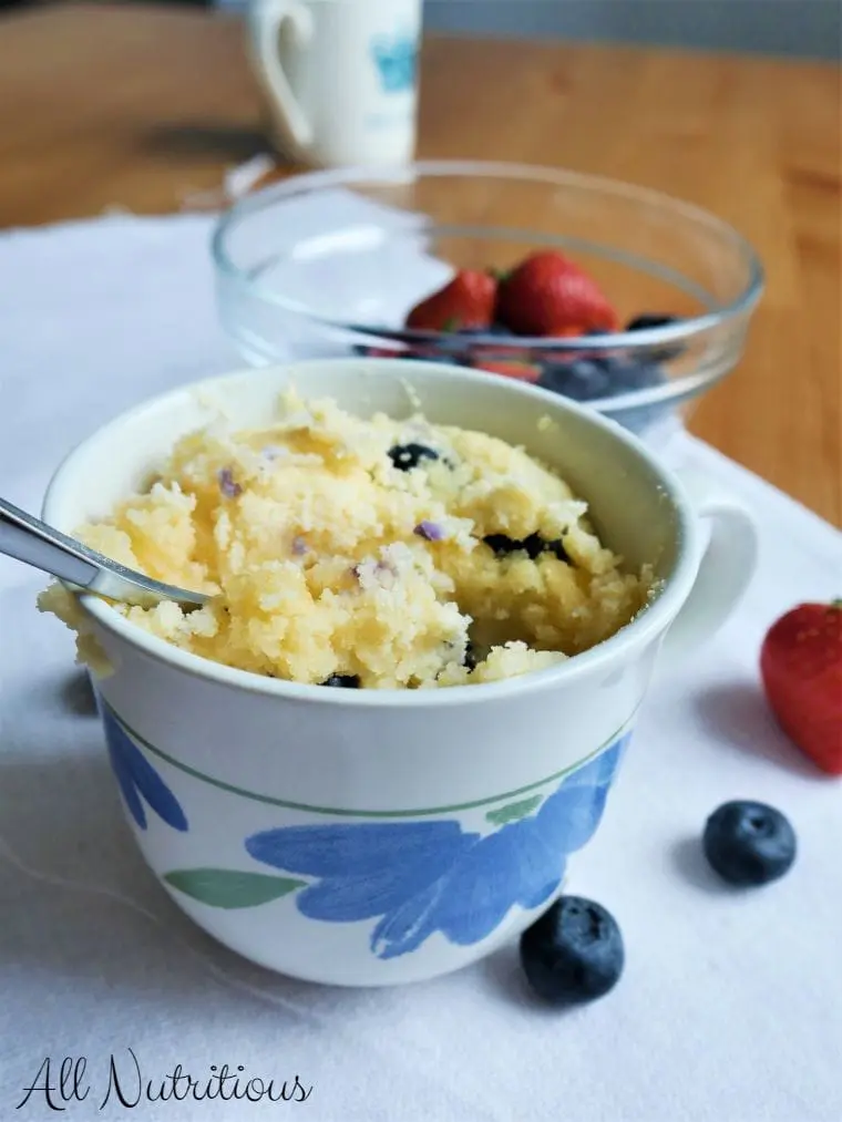 Ketogenic Blueberry Mug Cake