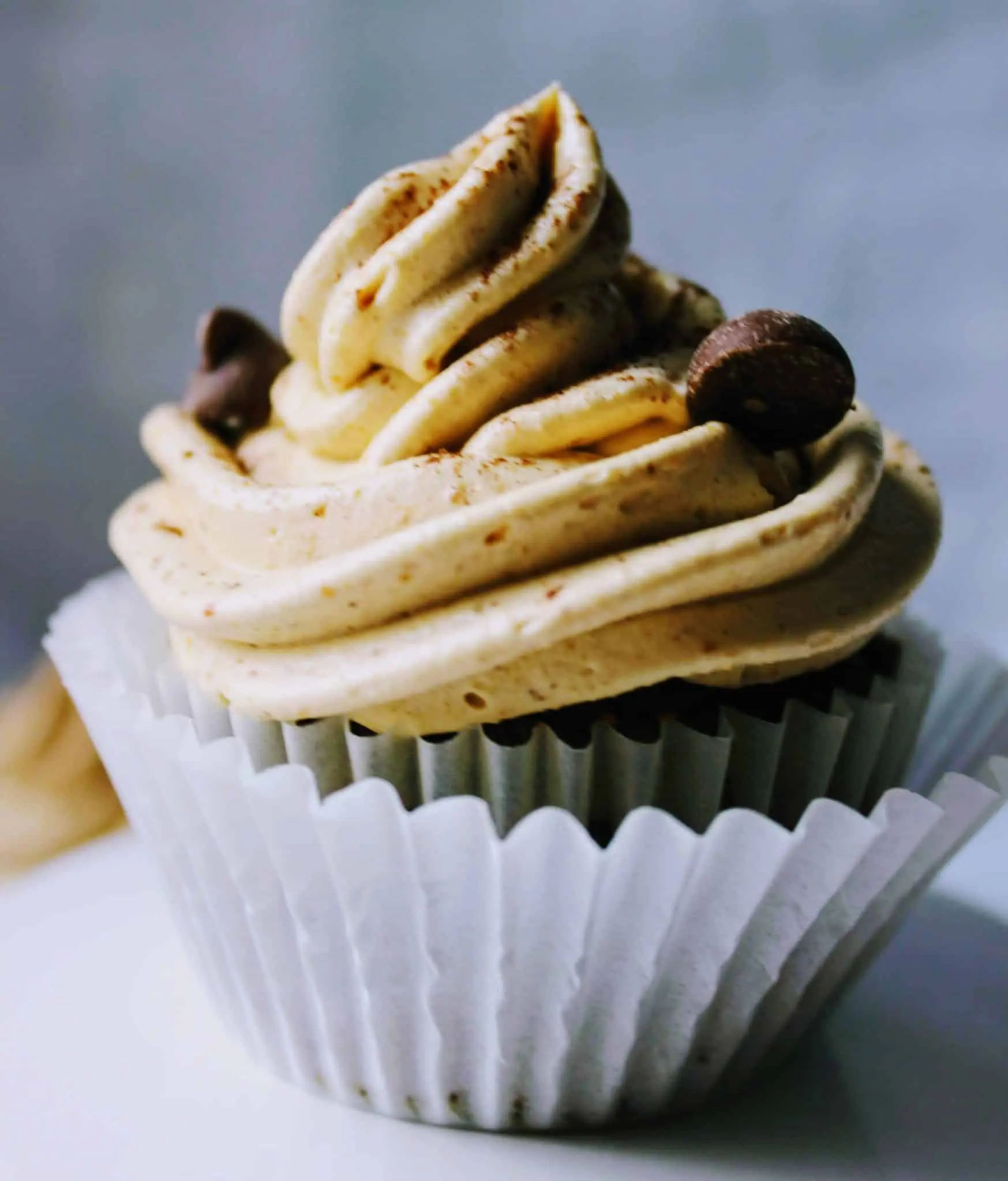 Double Chocolate Cupcakes with Peanut Butter Frosting