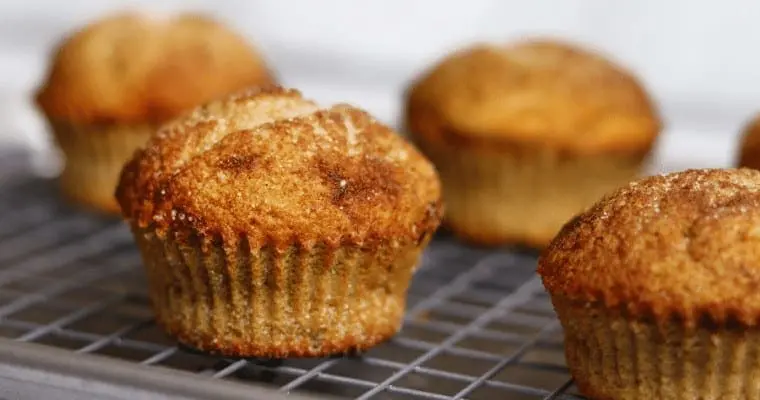 Snickerdoodle Muffins