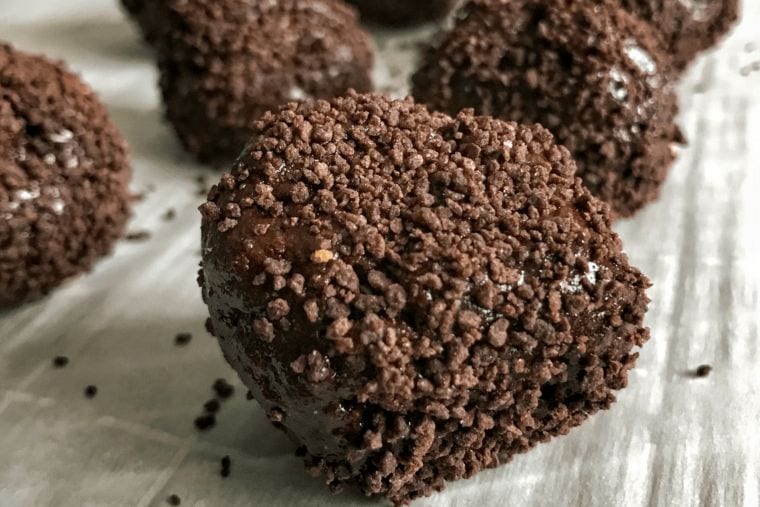 Fudge Brownie No-Bake Protein Balls