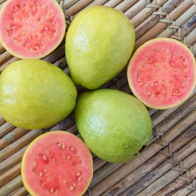 guava