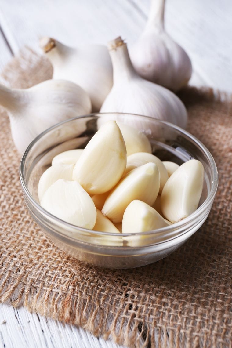 garlic