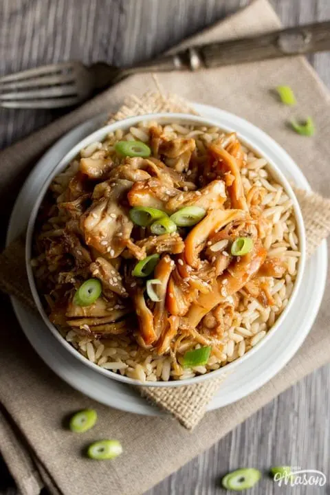 Slow Cooker Chicken Teriyaki