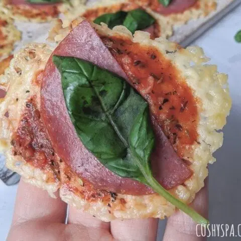Keto Pizza Bites