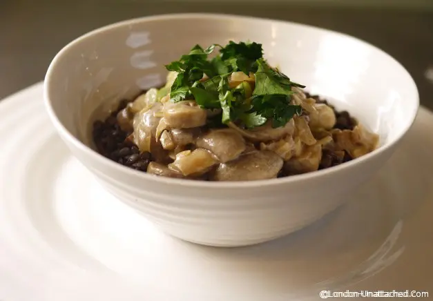 Mushroom Stroganoff