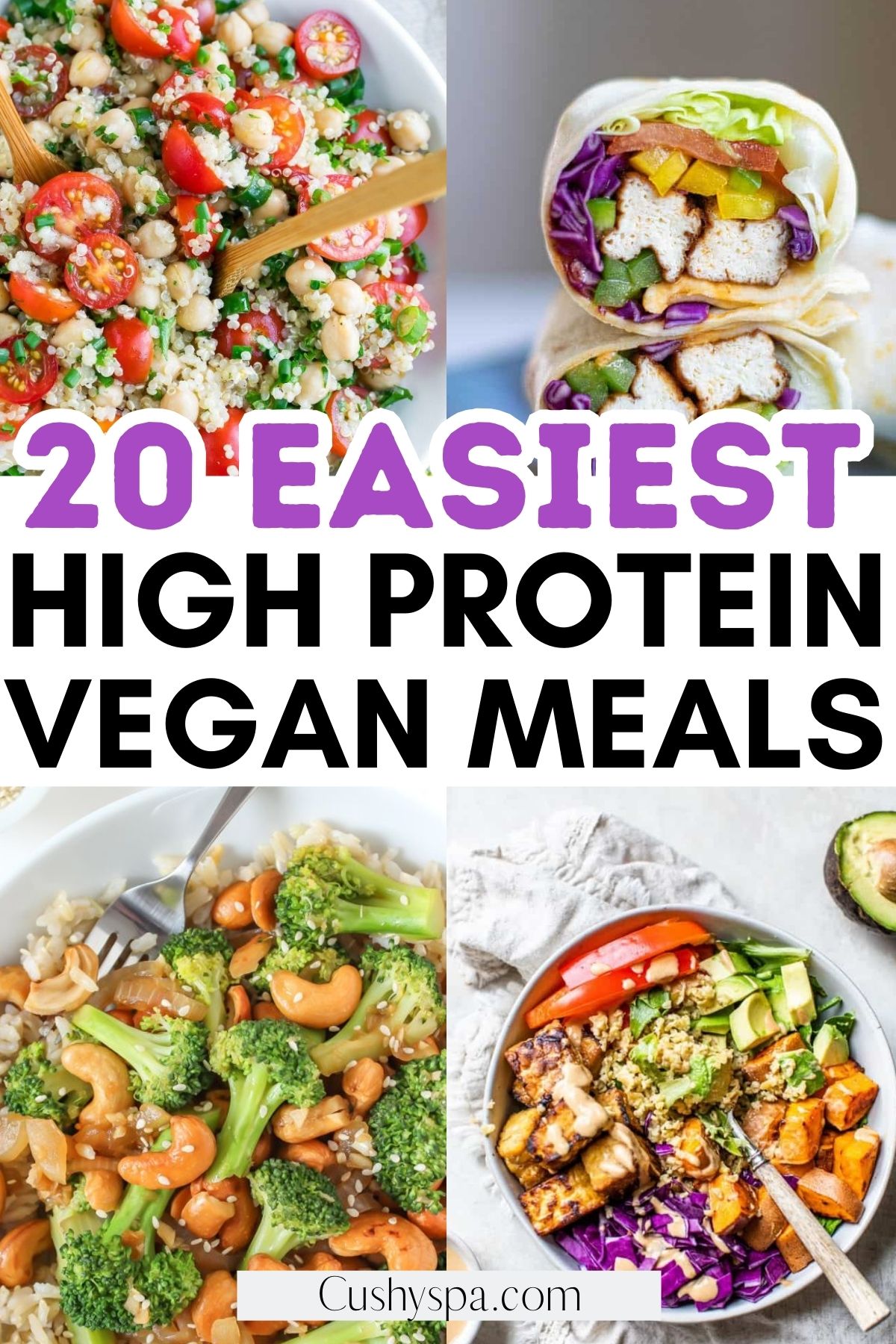 High Protein Vegan Meals