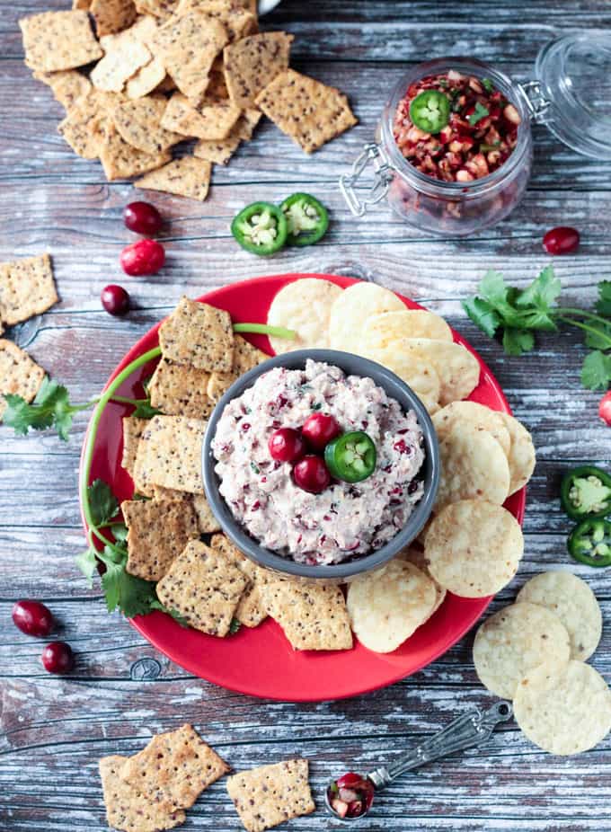 Cranberry Salsa Dip