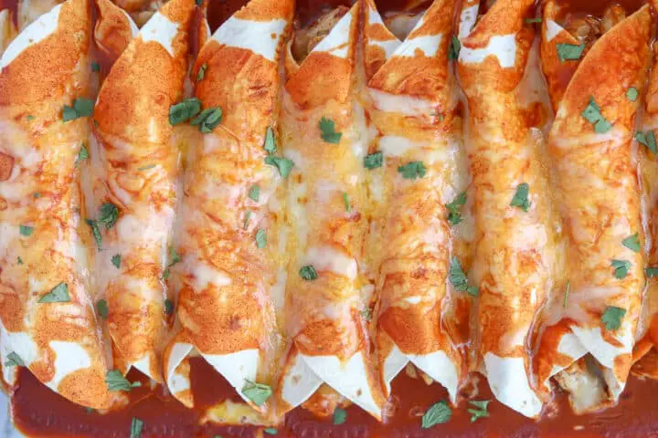 Keto Chicken Enchiladas