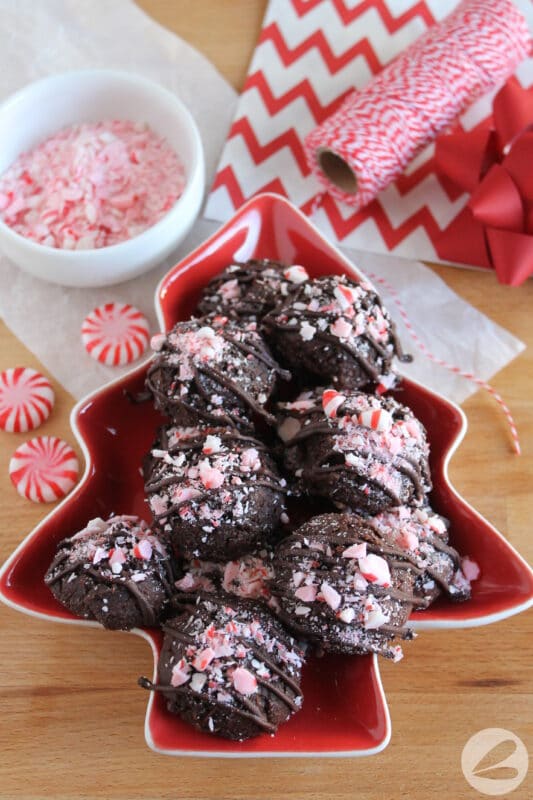 Chocolate Candy Cane Cookies