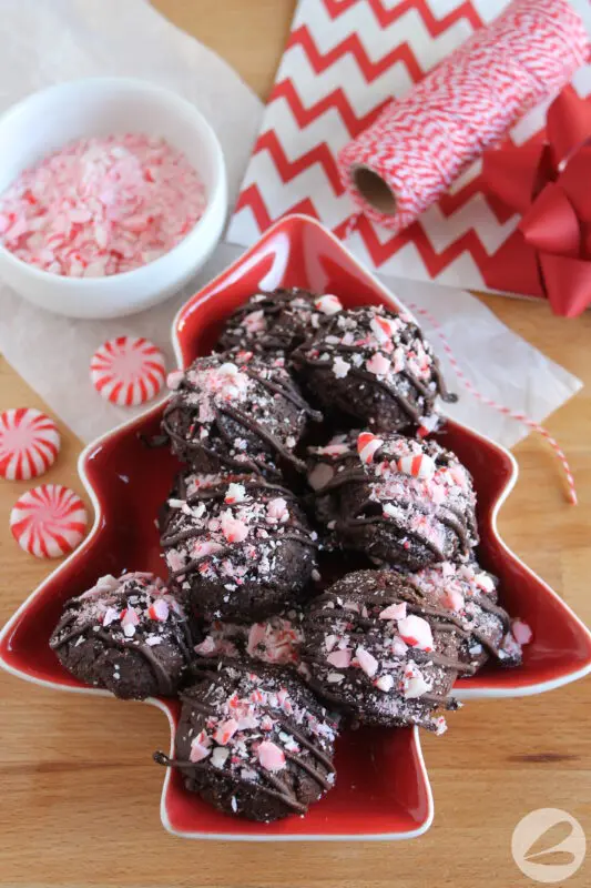 Chocolate Candy Cane Cookies