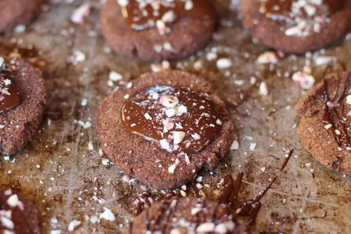 Paleo Chocolate Peppermint Cookies