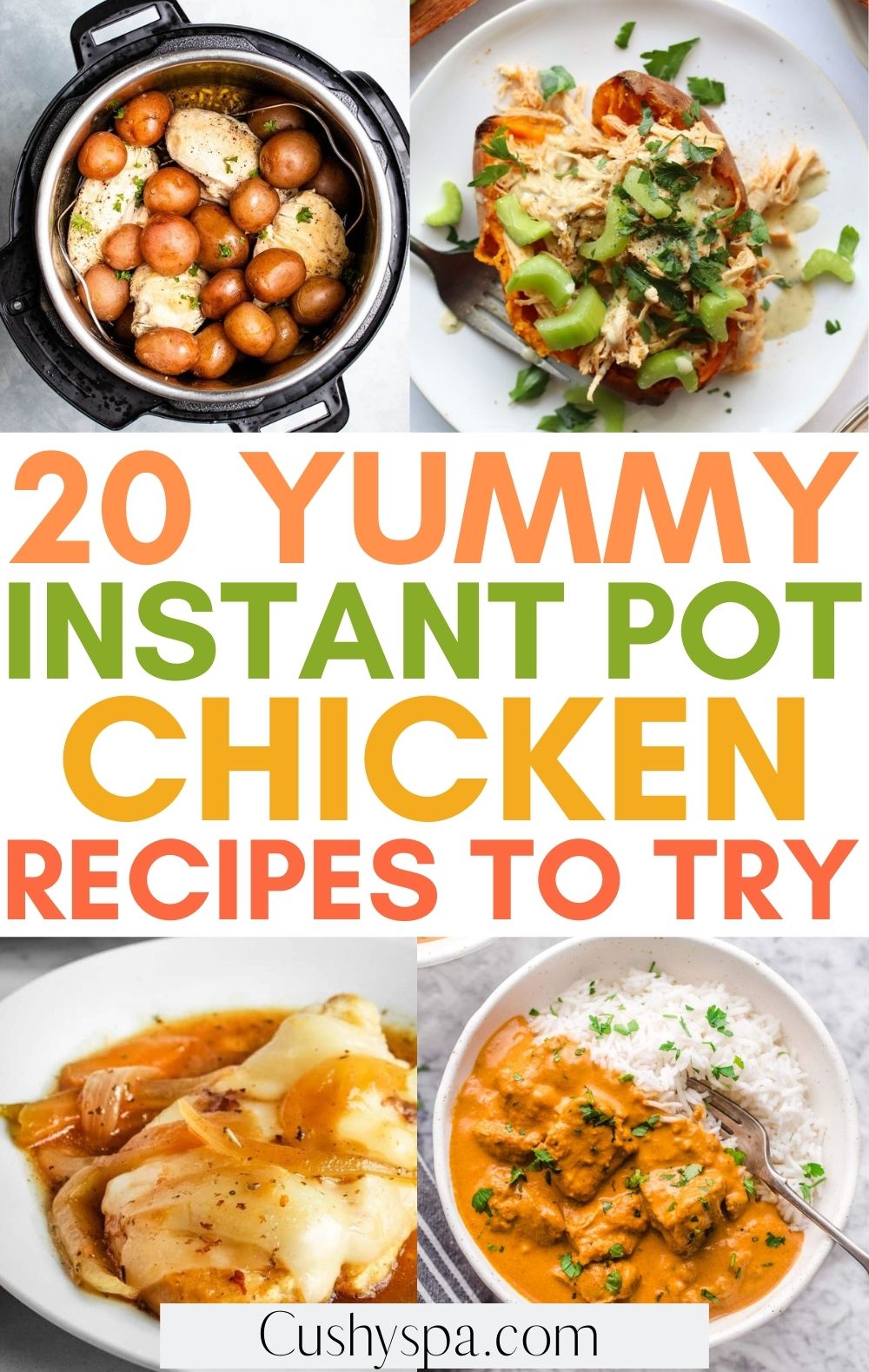 instant pot chicken recipes