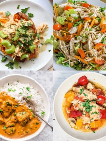 instant pot chicken recipes