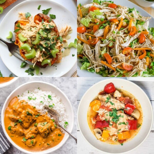 instant pot chicken recipes