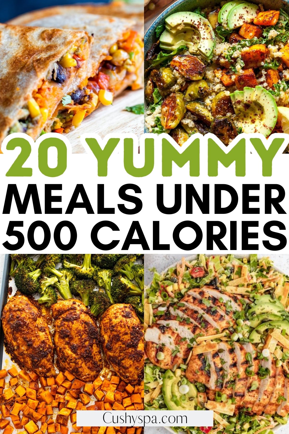 500 calorie meals