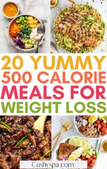 20 Yummy 500 Calorie Meals You're Going to Love - Cushy Spa