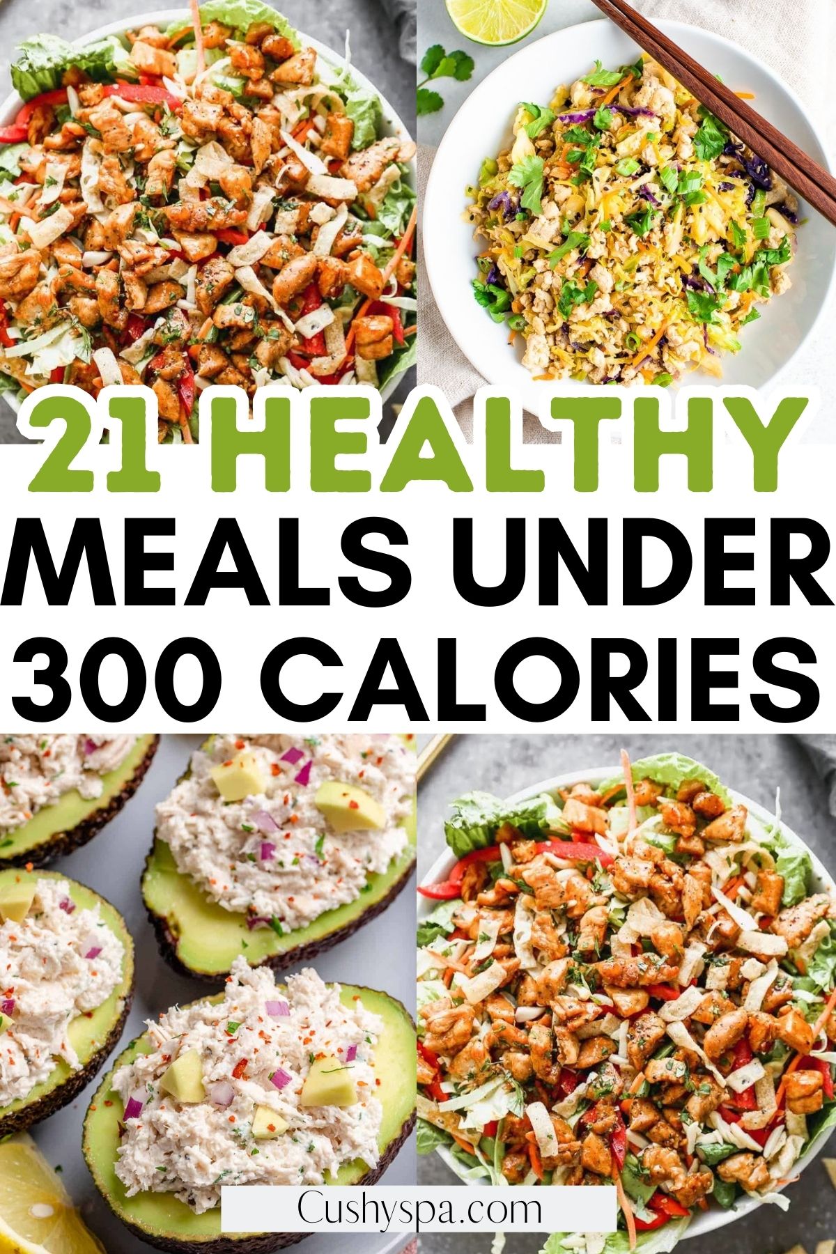 meals under 300 calories