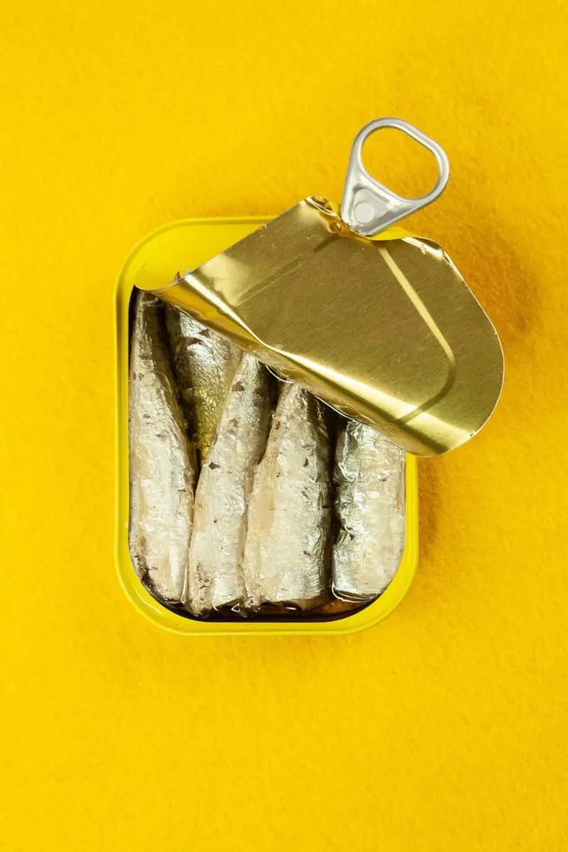 Canned Sardines