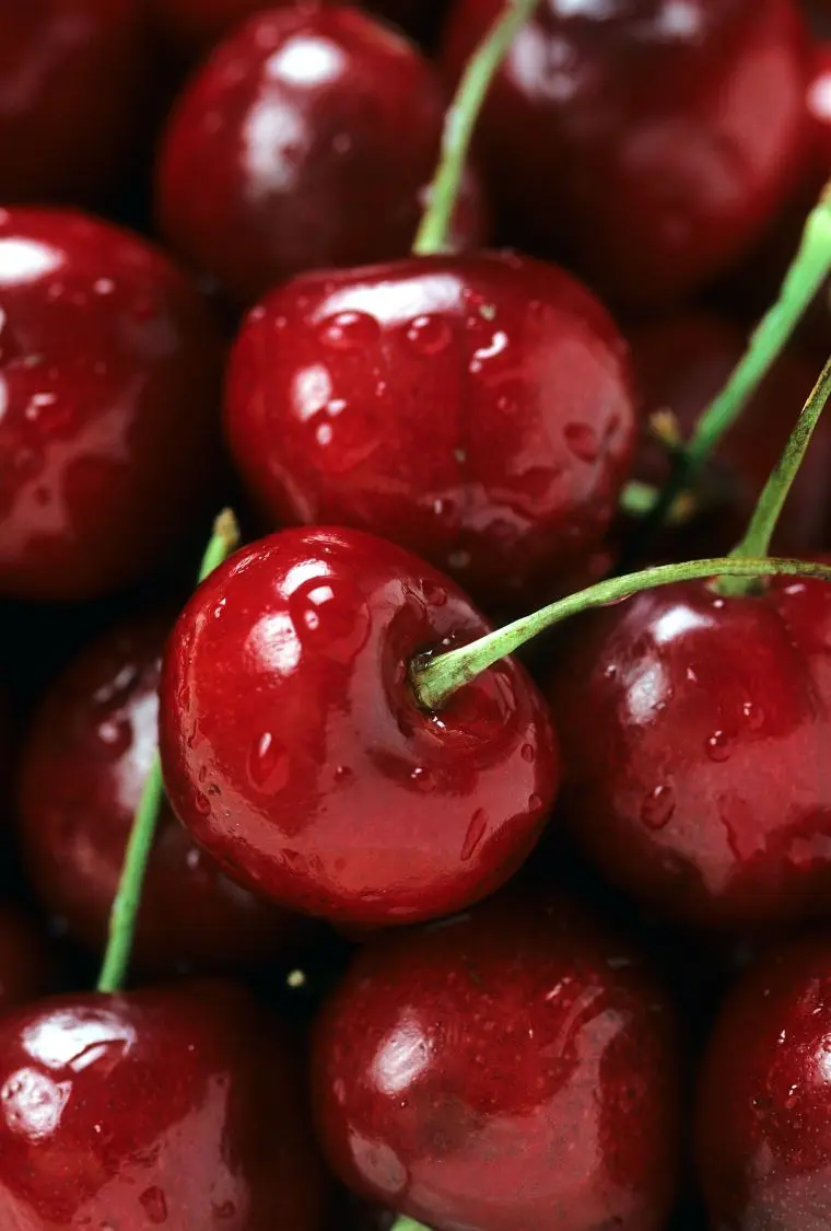 tart cherries