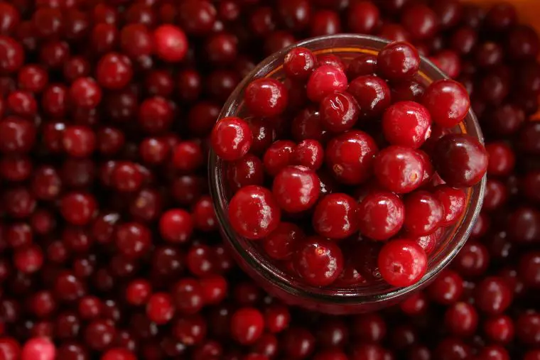 cranberries