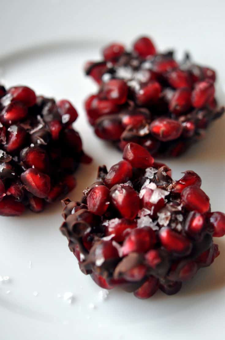 Pomegranate Dark Chocolate Bites