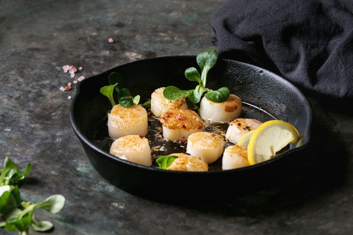 Scallops