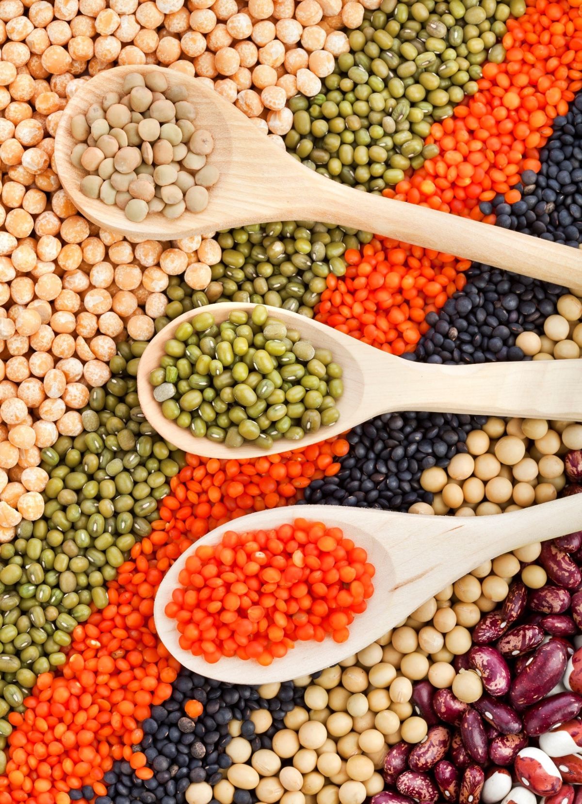 Legumes