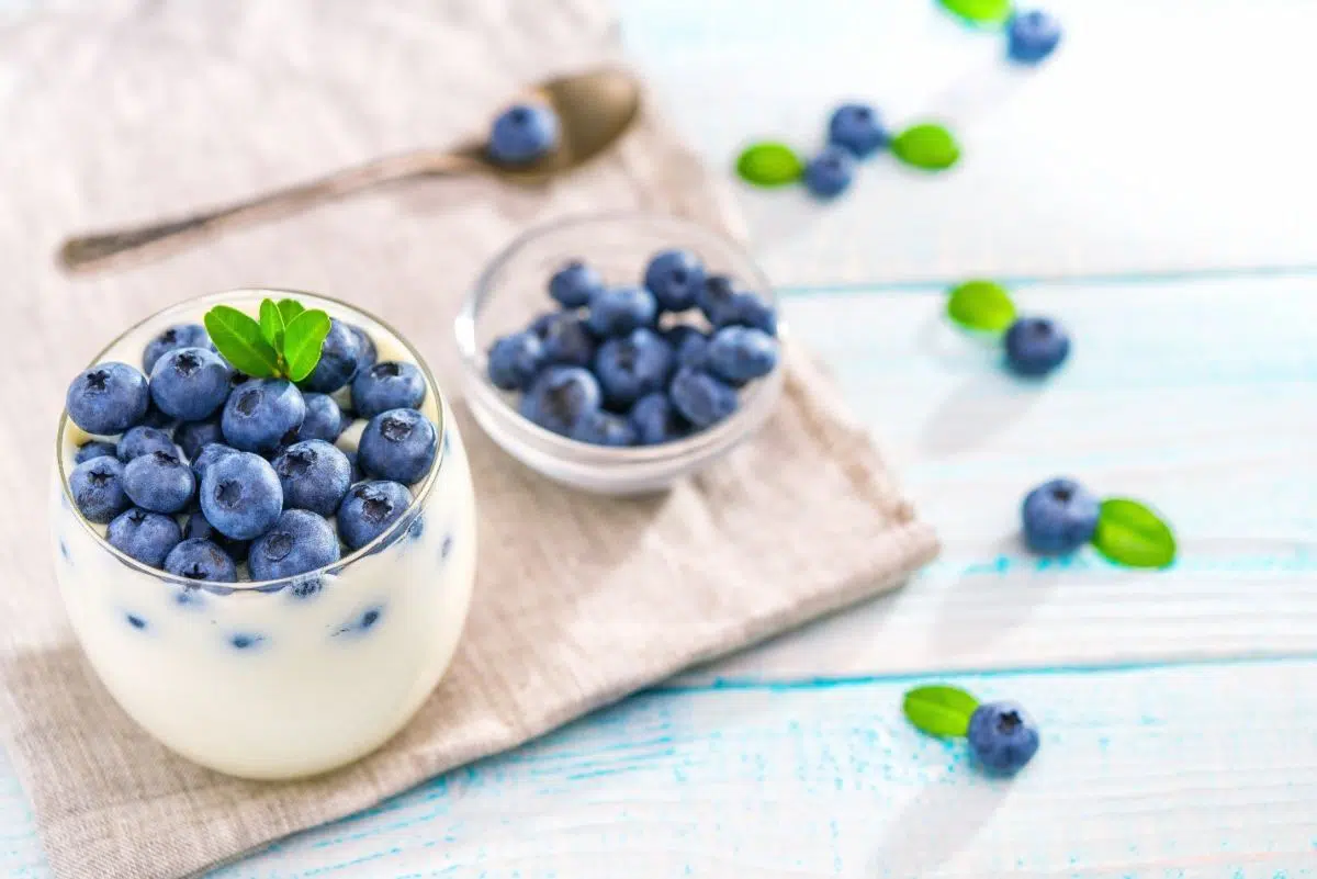 Greek Yogurt and Blueberries