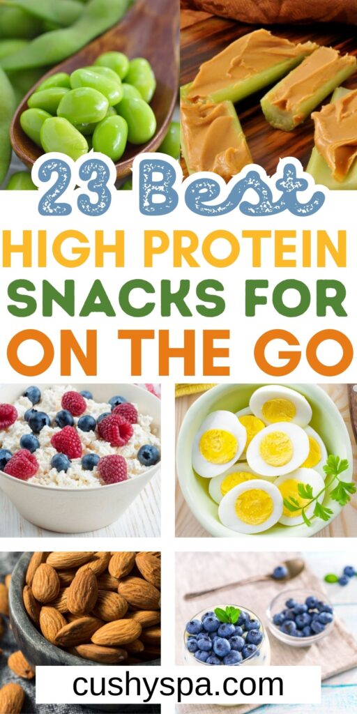 high protein snacks for on the go