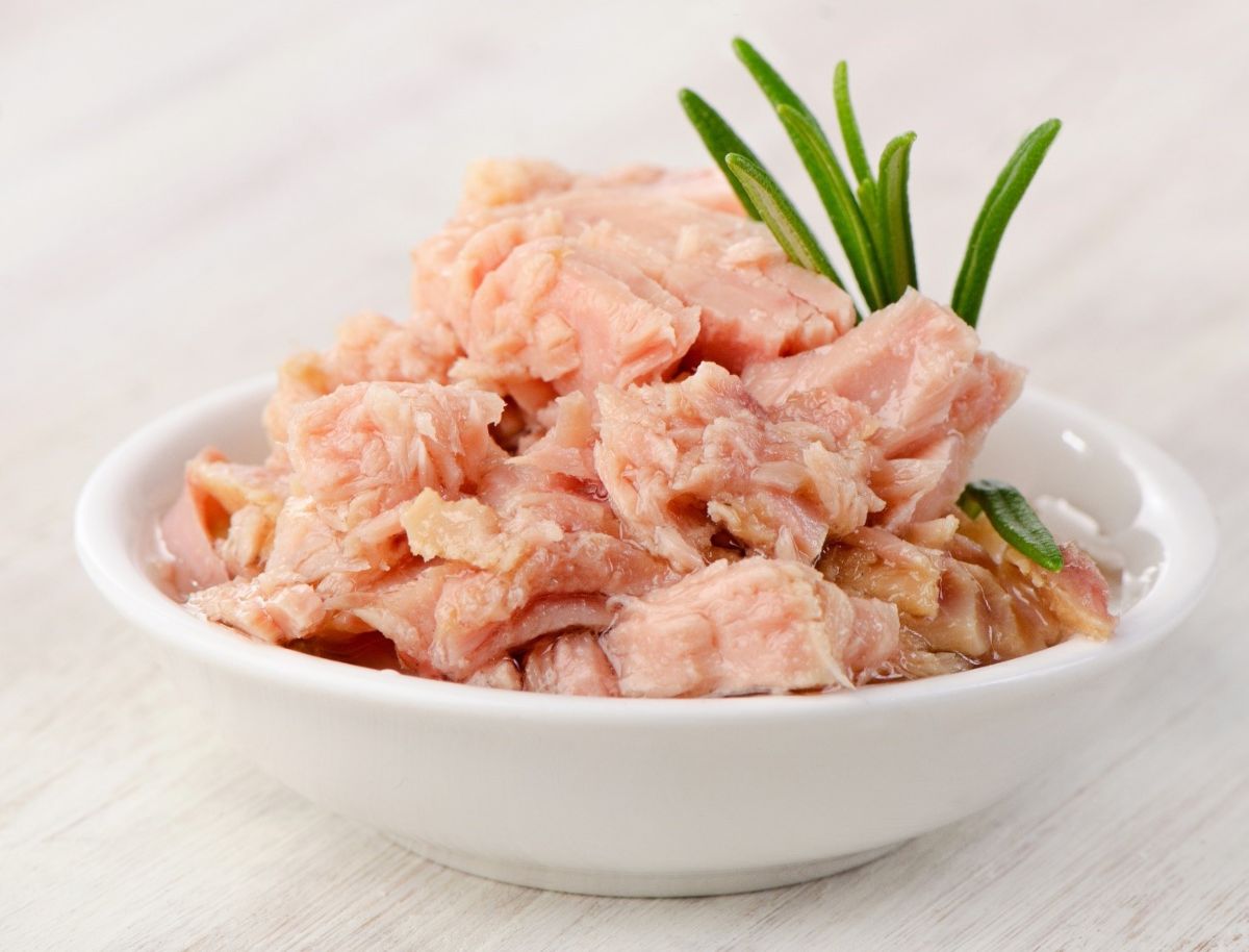 Canned tuna