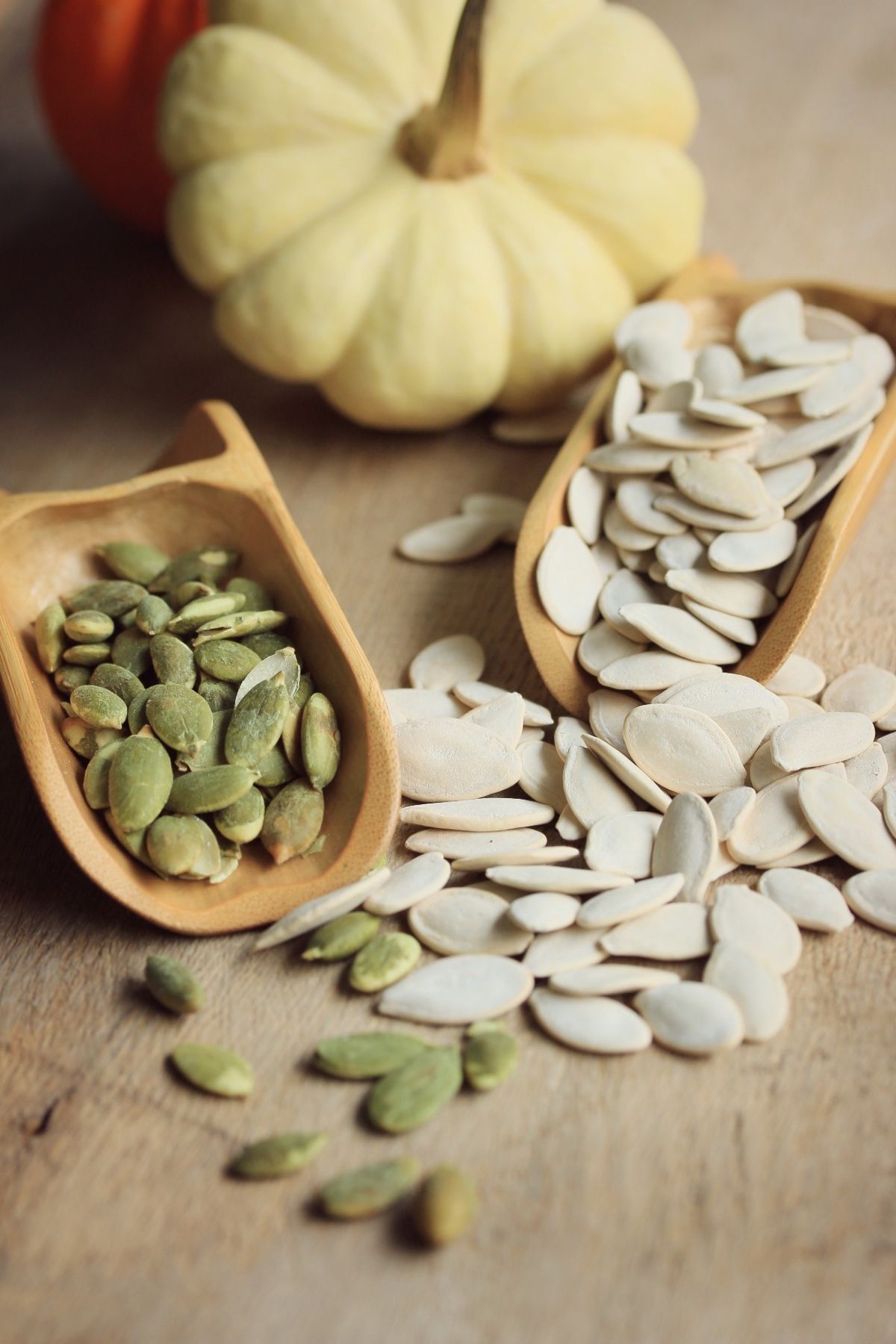 Pumpkin seeds