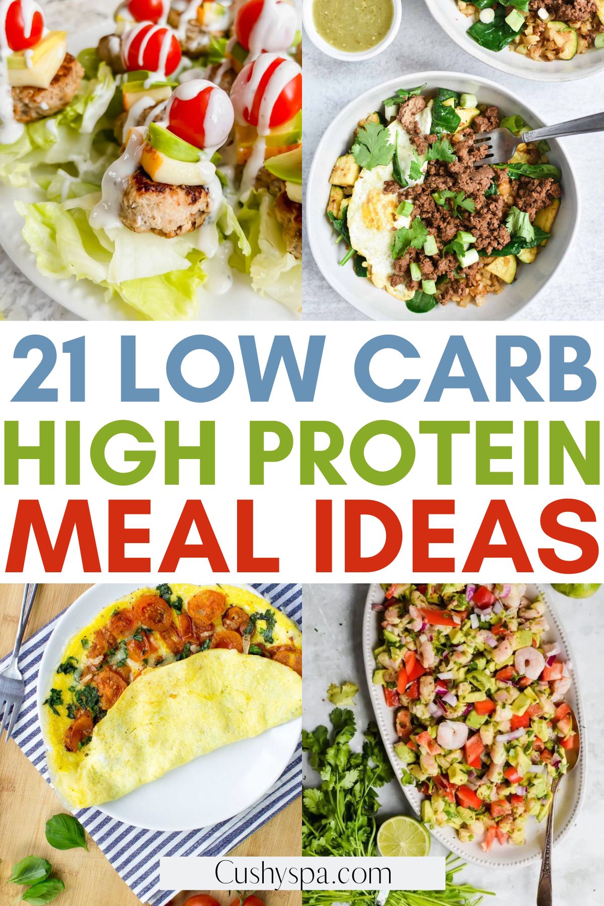 low carb high protein recipes