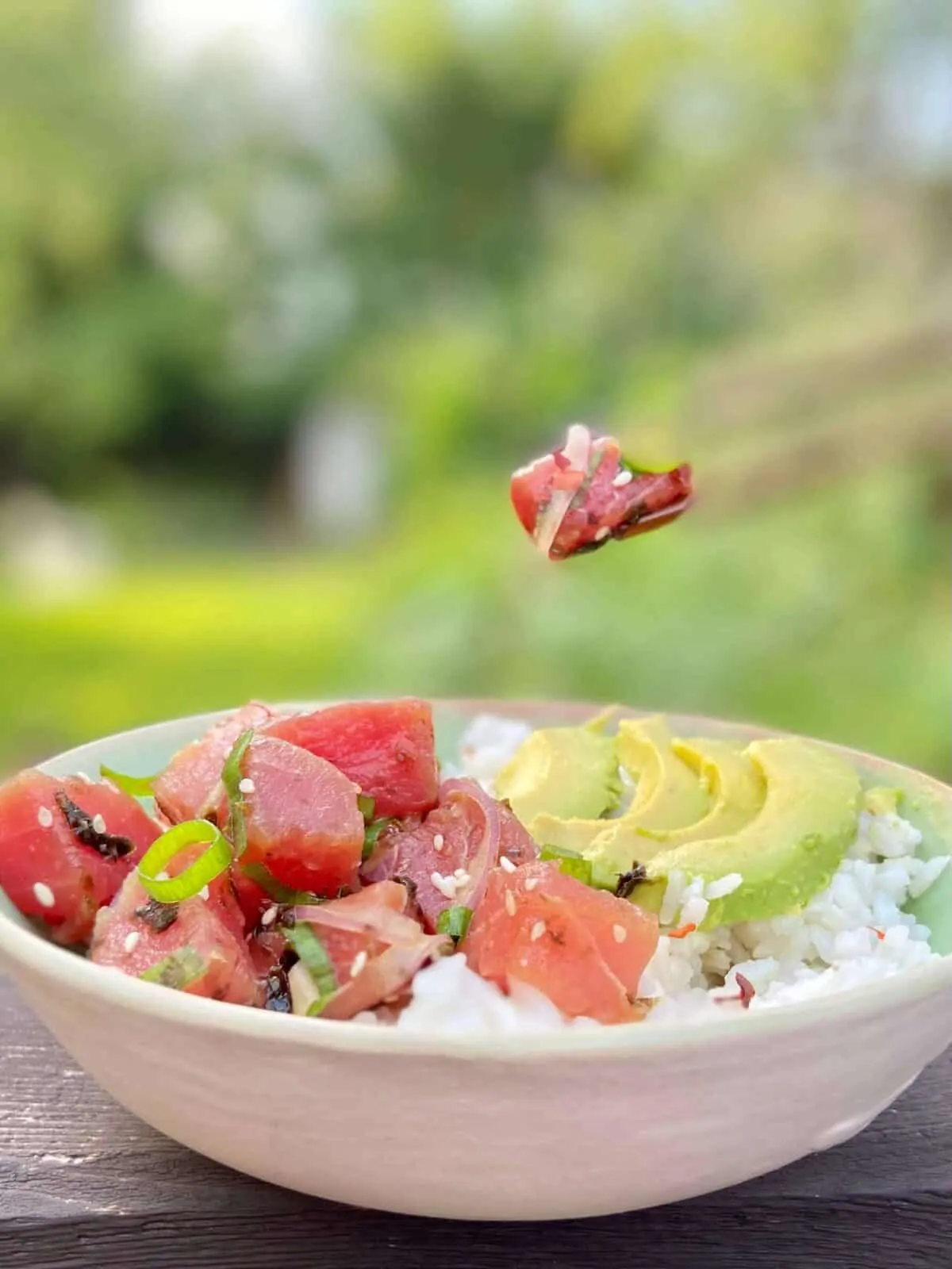 Hawaiian poke bowl