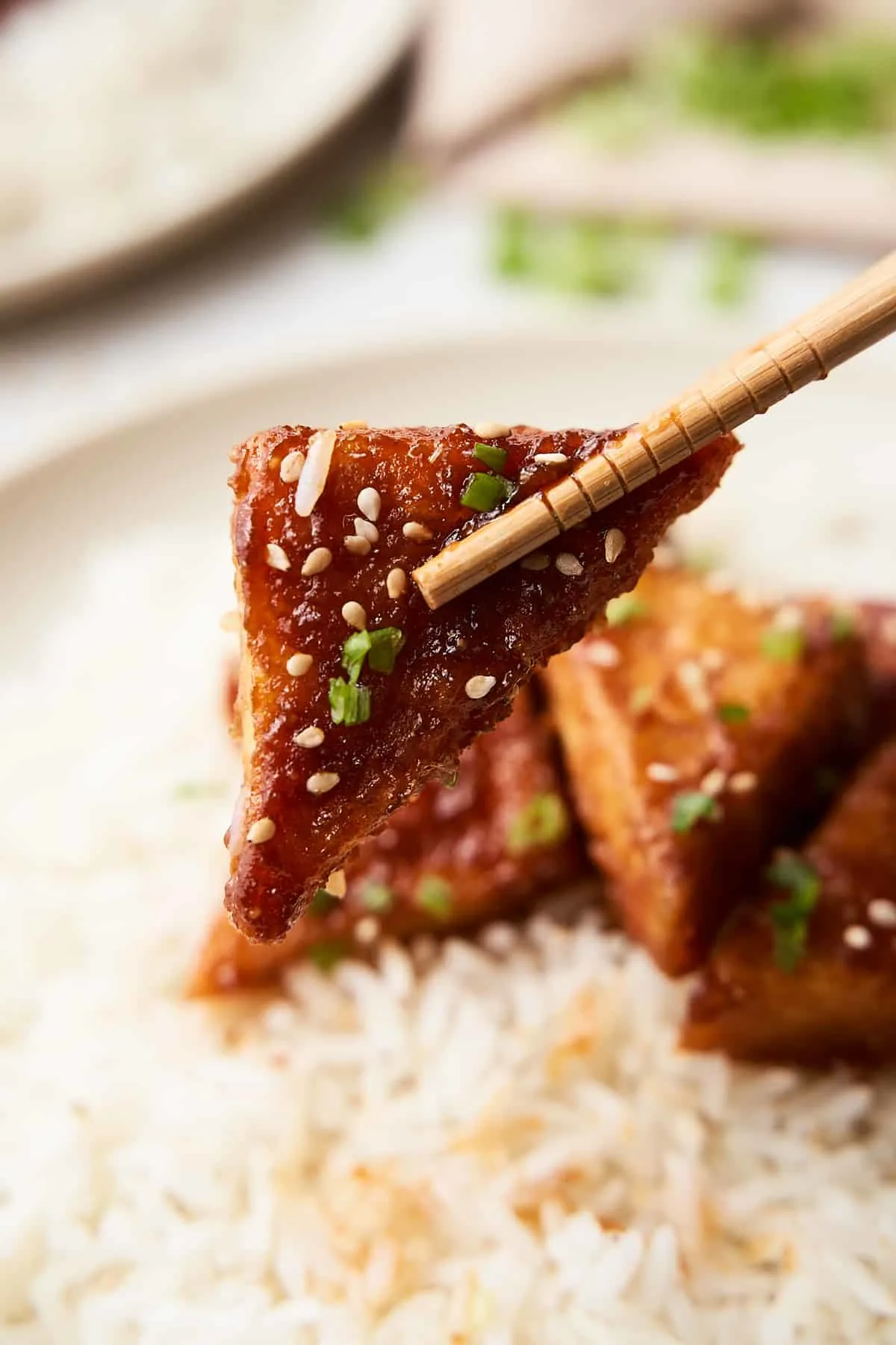 pan fried tofu