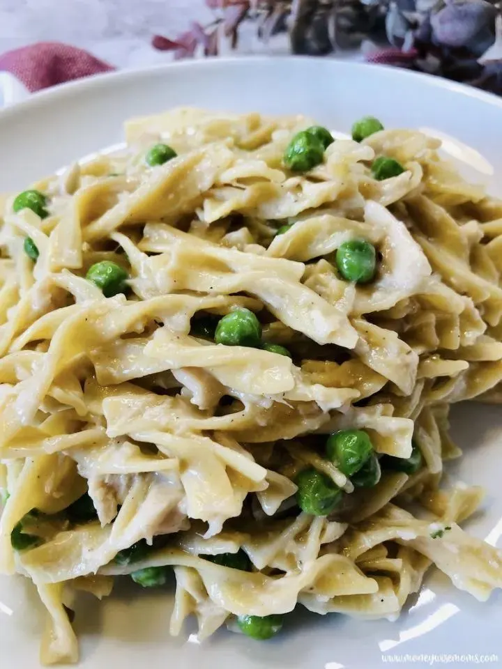 tuna with noodles