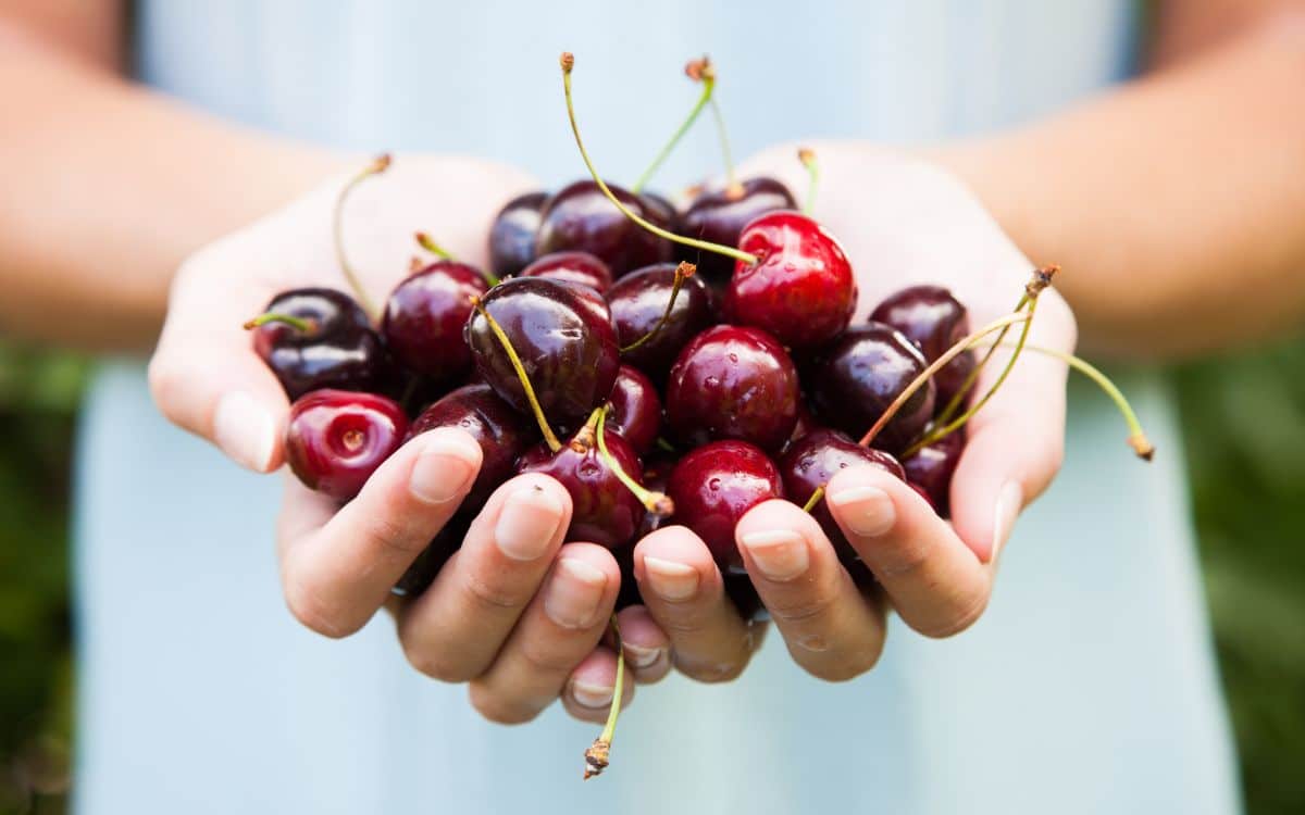 cherries