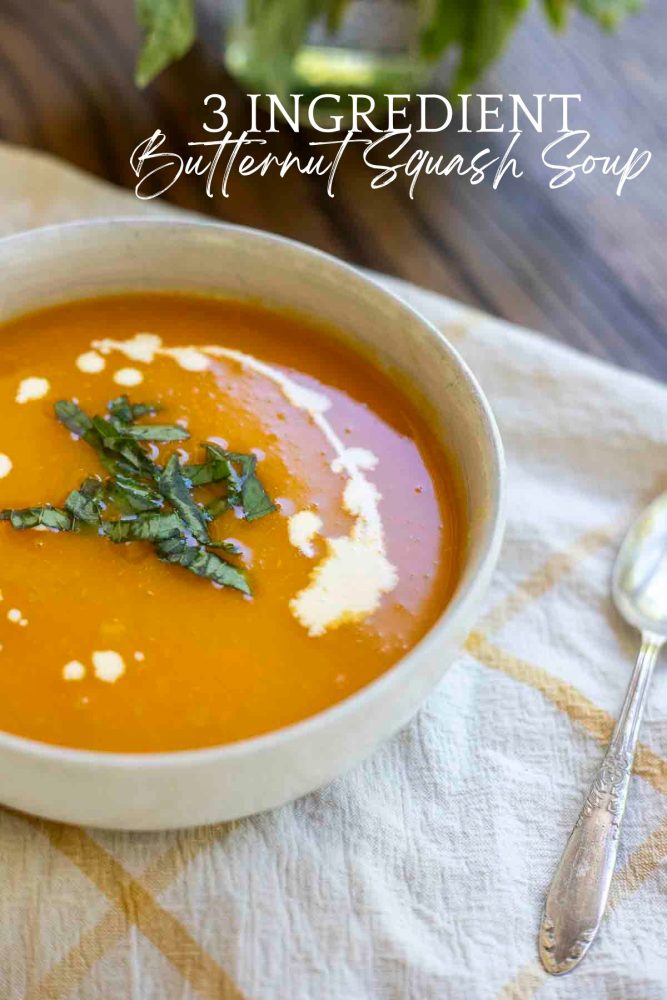 3 Ingredient butternut squash soup