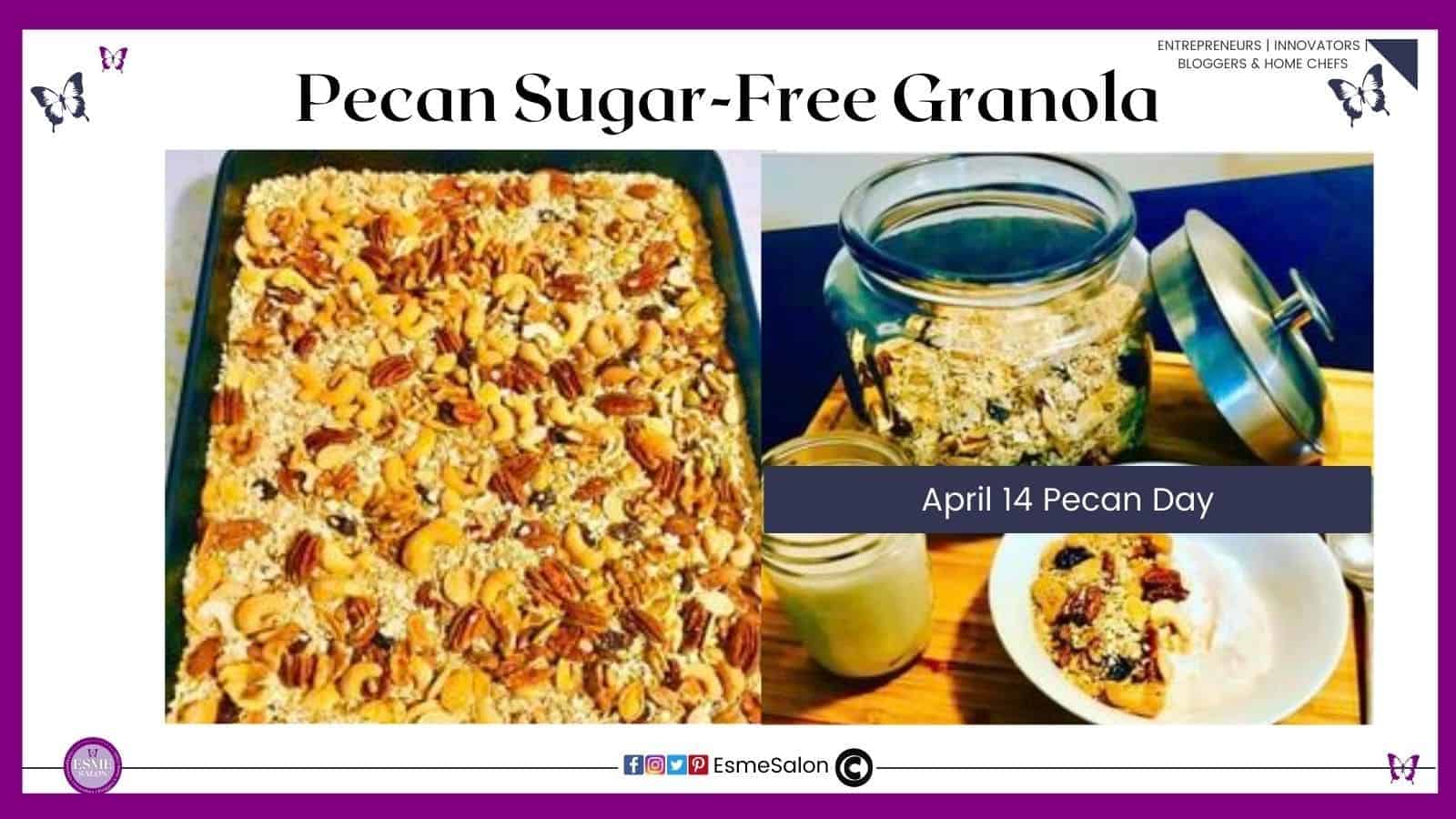 pecan sugar free granola
