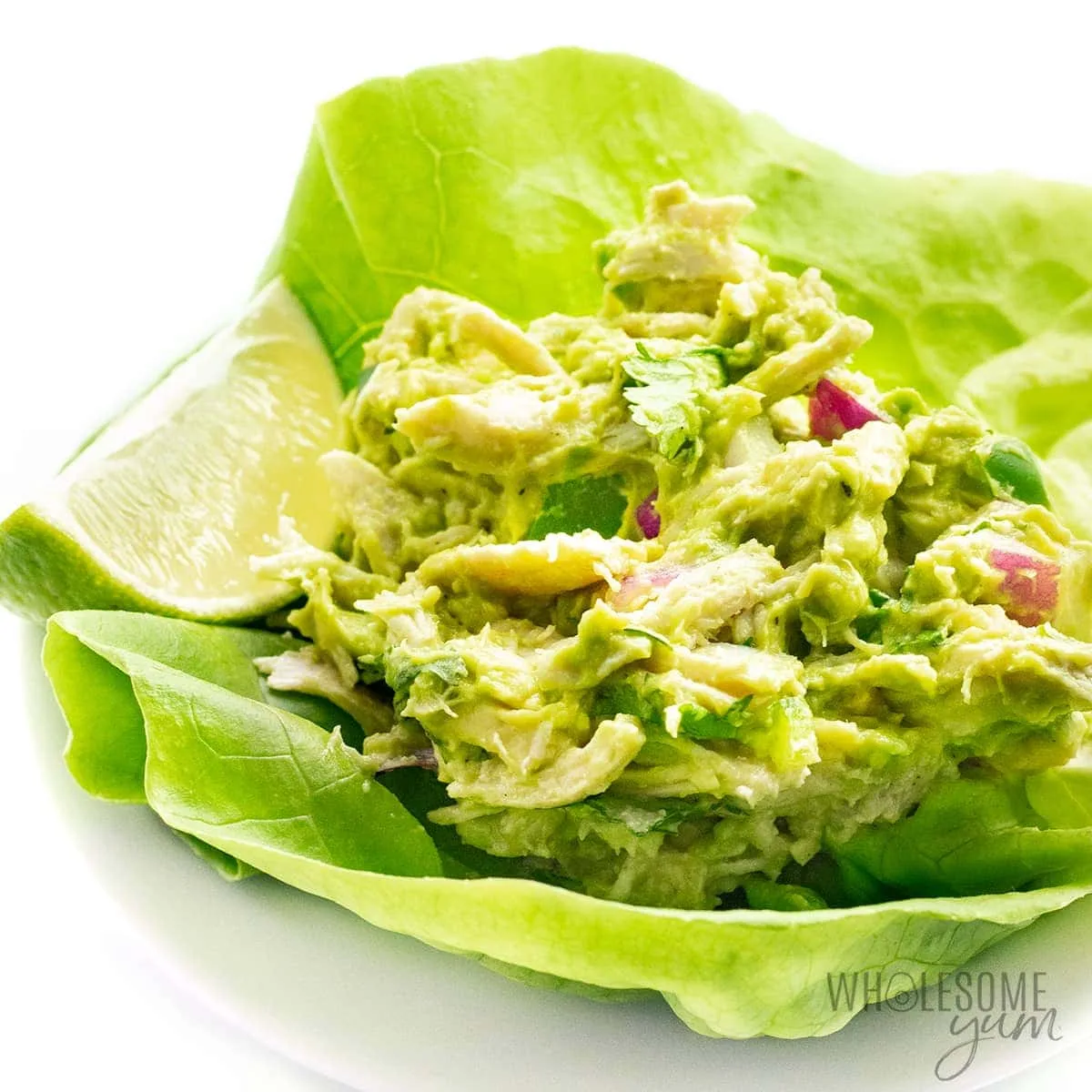 chicken avocado salad