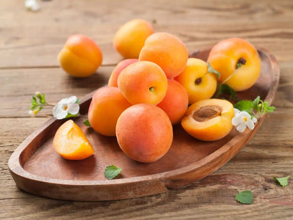 apricots