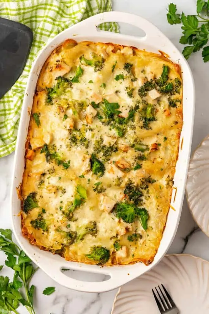 chicken and broccoli lasagna