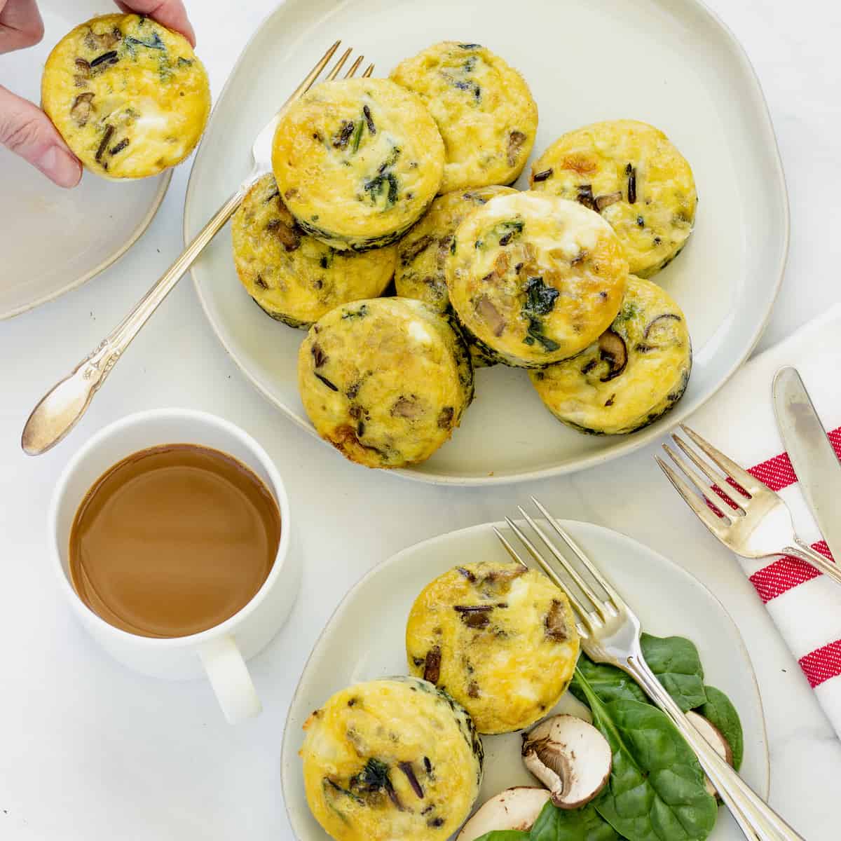 egg muffin cups