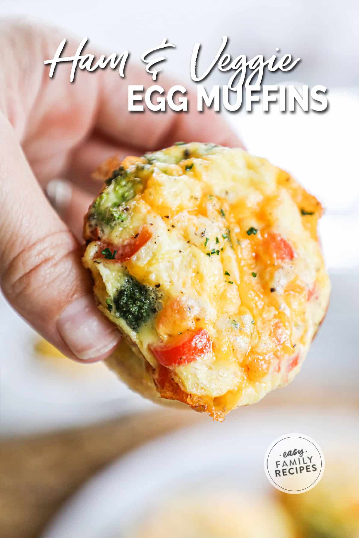 ham and cheese egg muffins