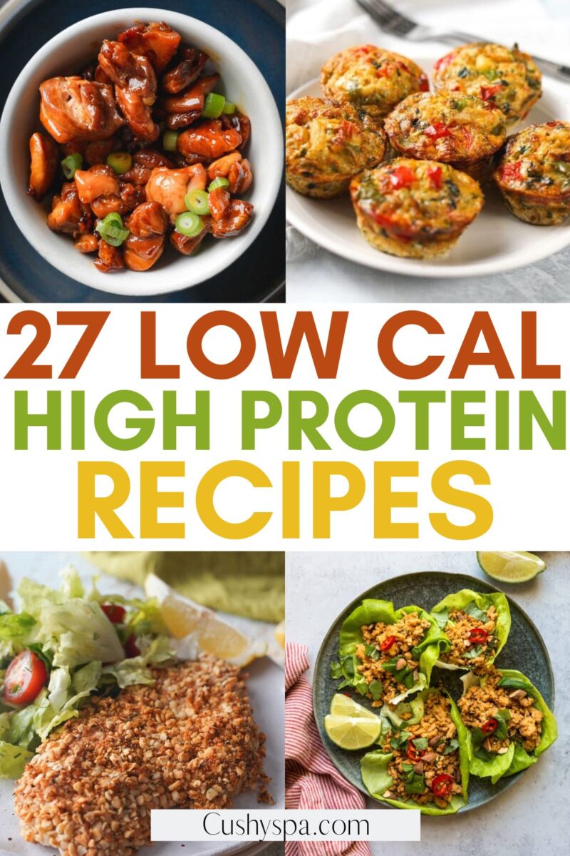 27 Low Calorie High Protein Recipes - Cushy Spa