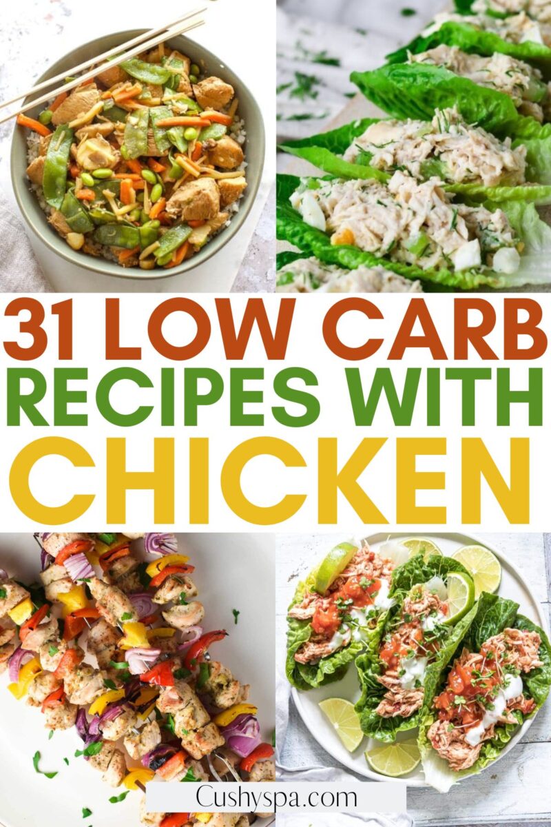 31 Low Carb Chicken Recipes - Cushy Spa