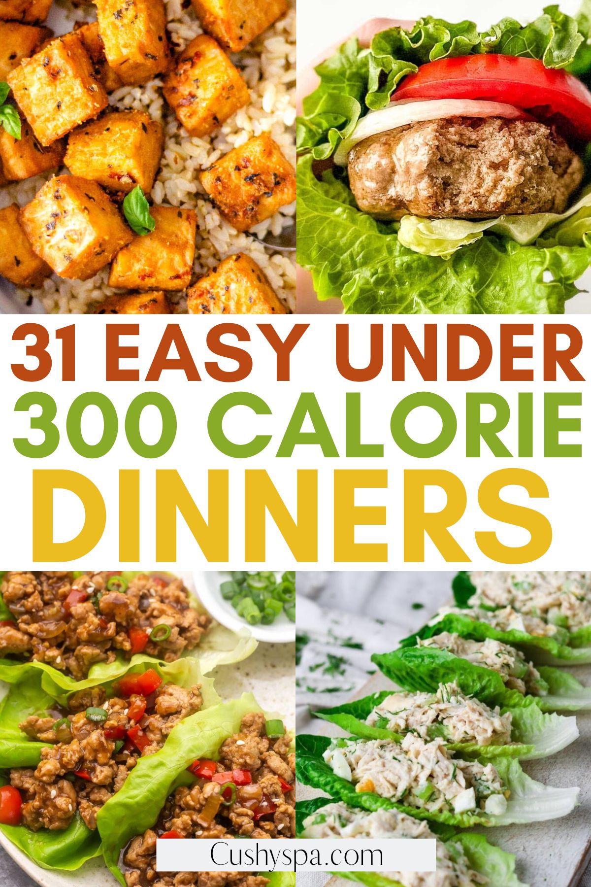Under 300 Calorie Dinners